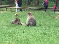 Kids_UKTrip_7-2017 (655)